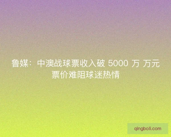 鲁媒：中澳战球票收入破 5000 万 万元票价难阻球迷热情
