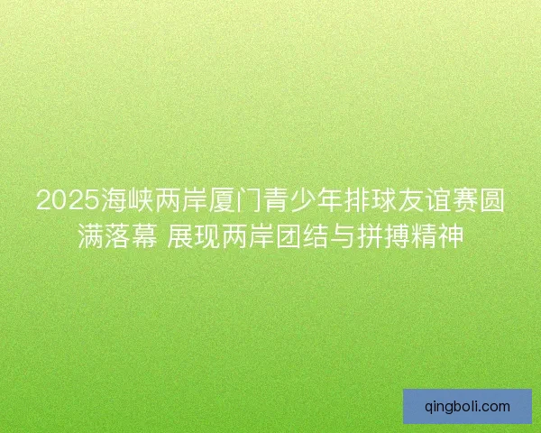 2025海峡两岸厦门青少年排球友谊赛圆满落幕 展现两岸团结与拼搏精神